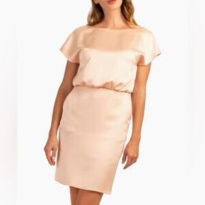 Trina Turk Amuse Satin Cocktail Dress in Strawberry Fields Size 4